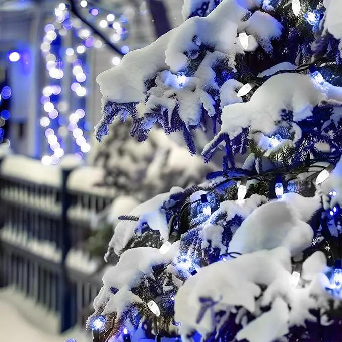 Christmas Pathway Lights Outdoor, 2 Pack 26 Ft 20 LED C9 Strawberry String Lights with Stakes, Connectable Waterproof Outside Christmas Lights Marker for Path, Lane, Patio Decor, Blue & Pure White by GreenHaven Gardens