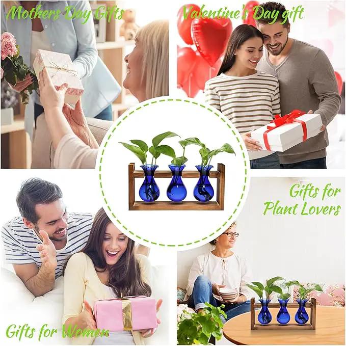 Plant Propagation Station Plant Terrarium Unique Birthday Gifts for Women Plant Lovers Home Office Decor Planter with Wooden Stand - 3 Bulb Glass Vase by GreenHaven Gardens