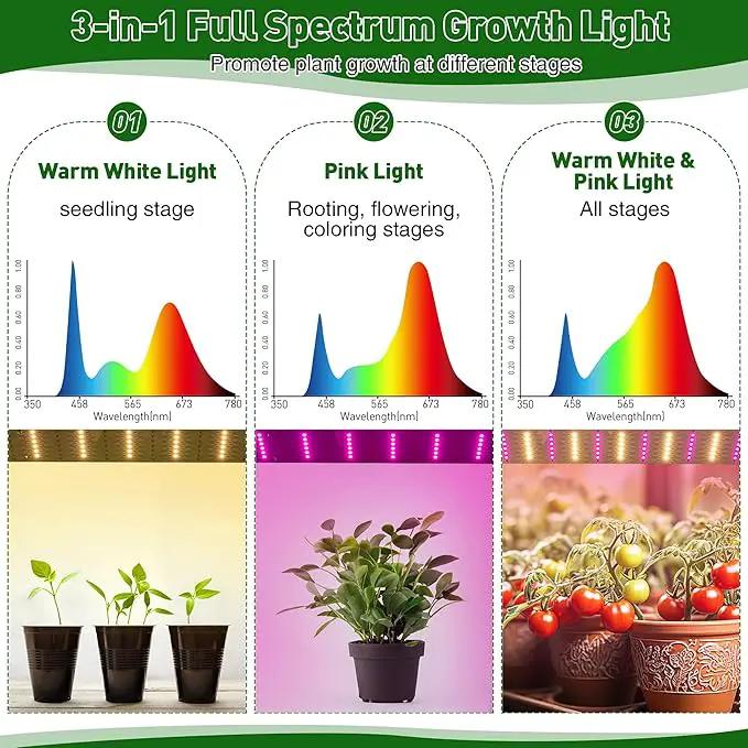 Meonum Mini Greenhouse with Grow Light for Indoor, 23.6 x15.7 x19.6 Tabletop Small Greenhouse Kit with 15W Plant Dimmable LED Grow Lights and Timer, 3 Light Color Mode for Seed Starter Tray by GreenHaven Gardens