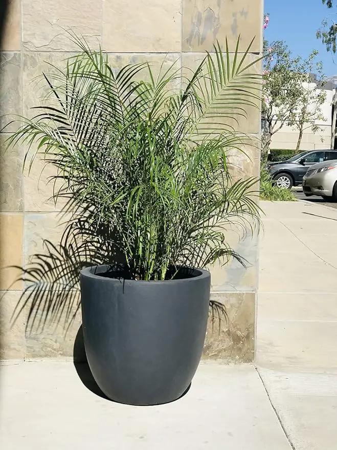 Kante 14 Inch Dia Round Concrete Planter, Indoor Outdoor Large Plant Pot with Drainage Hole and Rubber Plug for Home Patio Garden, Charcoal by GreenHaven Gardens