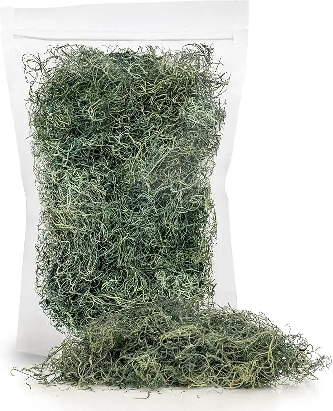 Premium Spanish Moss in Basil| Natural Preserved - Great Ground Cover - Filler for Potted Plants - by GARDENERA - 5 Quart Bag by GreenHaven Gardens