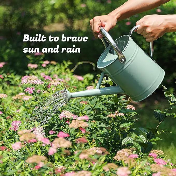 1 Gallon Watering Can for Plants, Watering Cans for Indoor&Outdoor Gardening, Galvanized Steel Watering Pot with Removable Spout, Metal Water Can with Ergonomic Movable Handle(Cream Green) by GreenHaven Gardens