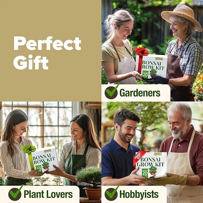 HOME GROWN Bonsai Tree Kit – Easy to Grow 4 Species of Bonsai w/Our Complete Plant Kit: Bonsai Pots & Peat Pellets Including a Bonus in-Depth Grow Guide - Great Gardening Gifts for Women and Men by GreenHaven Gardens