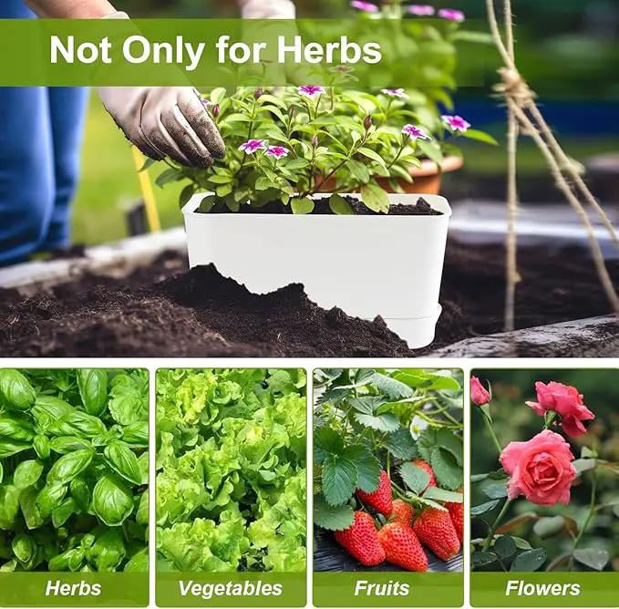 Herb Garden Planter Indoor Kit Self Watering Pots for Indoor/Outdoor Plants 2 Packs Windowsill Plant Pots with Drainage and Tray, Window Pot for Indoor Plants by GreenHaven Gardens