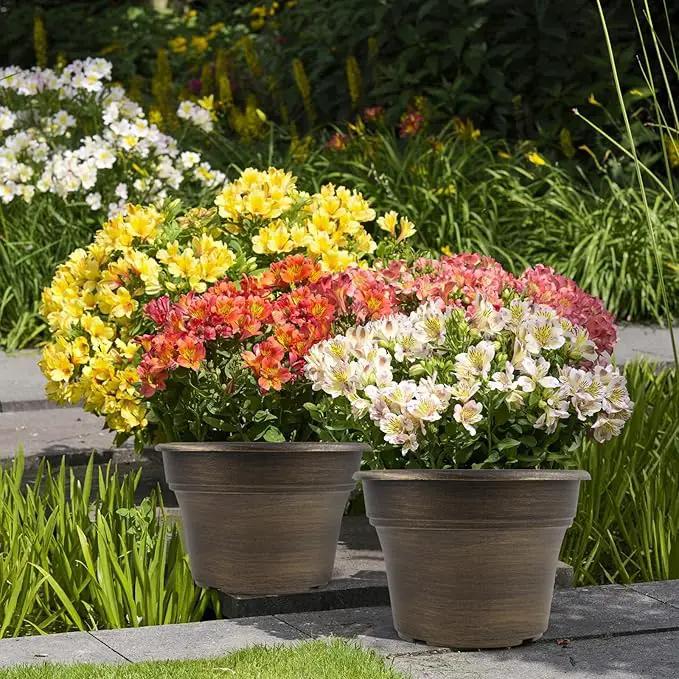 16 inch Plant Pots Outdoor Planters，4 Pack Large Plastic Flower Pot for Indoor Plants with Drainage Holes & Saucer, Resin Decorative Container Sets with Trays for House Outdoor Garden Plant Dark Gold by GreenHaven Gardens
