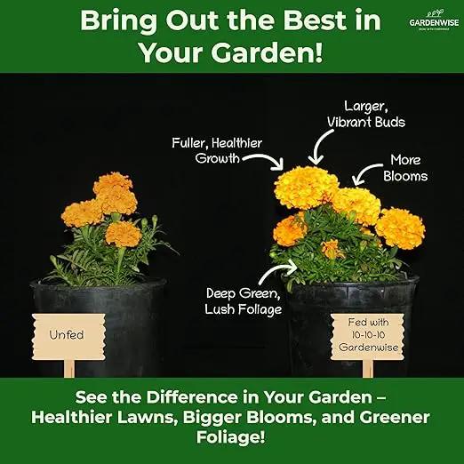 10-10-10 Plant Fertilizer Slow Release - 10 10 10 All Purpose Granular Garden Fertilizer for Vegetables, Tomato, Arborvitae, Shrubs, Rose, Flowers, Fruit, Fig Trees (5 QUARTS) by GreenHaven Gardens