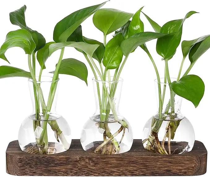 YIBOT Propagation Stations,Plant Propagation Vase,Desk Plant Terrarium with Retro Wooden Stand,Plant Lover Gifts for Women for Hydroponics Plants Home Garden Wedding Decor(3 Vase) by GreenHaven Gardens