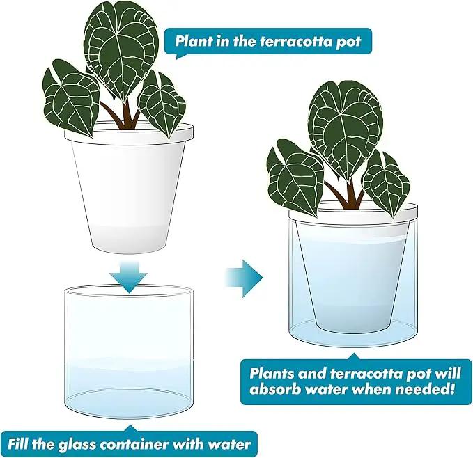 D'vine Dev 6 Inch Design Self Watering Planter for Indoor Plants, White Terracotta Pots with Cylinder Glass Cup, Set of 2, 37-Y-B-2 by GreenHaven Gardens