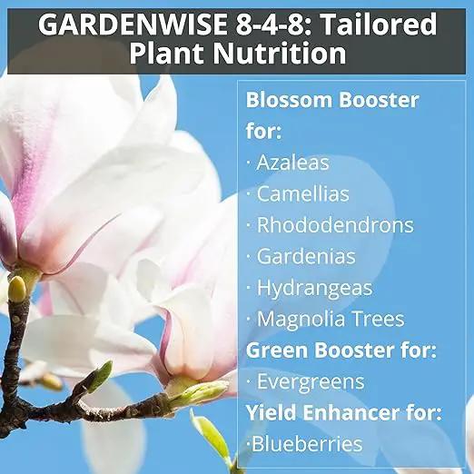 8-4-8 Acidic Fertilizer for Azaleas, Camellias (Camelia), Hydrangeas, Blueberries, Gardenias, Magnolia Trees, Evergreens, and Rhododendrons - Ideal Iron-Rich Plant Food (5 QUARTS) by GreenHaven Gardens