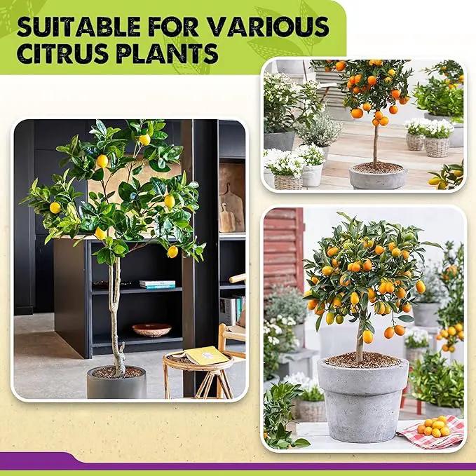 DUSPRO Recycle Citrus Tree Potting Soil Mix for Potted Lemon Tree, Specialized for Oranges, Fruit Tree Indoor Planting Pre-Mixed 4-in-1 Ready to Use (6 Quarts) by GreenHaven Gardens