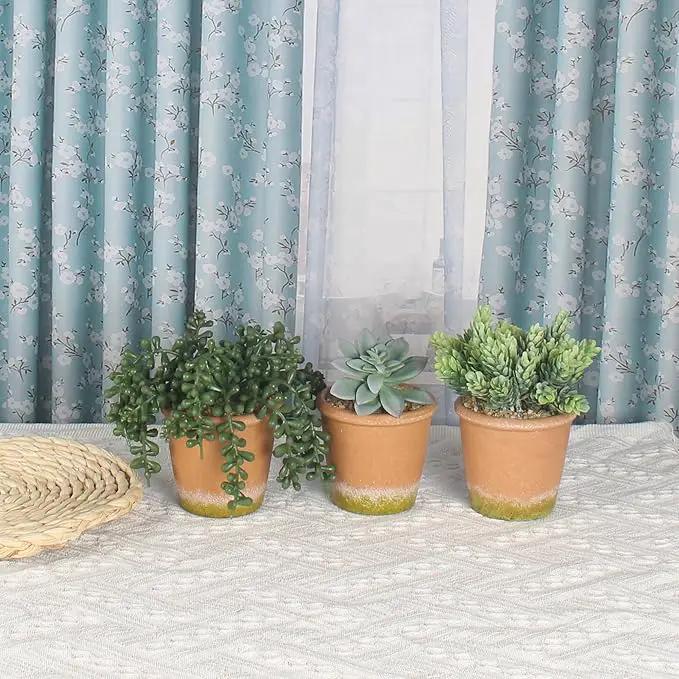 3 Pcs Artificial Succulent Plants Potted False Succulent Plants Potted Faux Potted Plant Family Office Bookshelf Decor