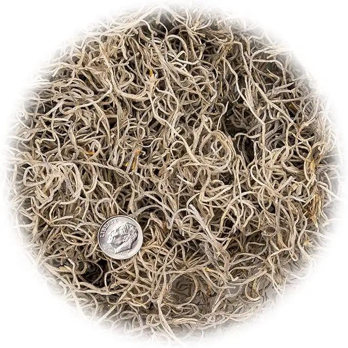 Premium Natural Spanish Moss | Natural Preserved - Great Ground Cover - Filler for Potted Plants - by GARDENERA - 4 Quart Bag by GreenHaven Gardens