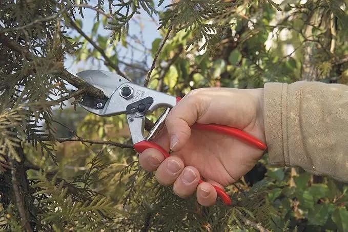 FELCO F31 Pruning Shears – 8.3" Swiss-Made Garden Clippers with Anvil Blade for Dry/Hard Wood | Hand Pruner for Gardening | Garden Tool Cutter with Aluminum Handle, Carbon Steel Blade, High-Torque Cut by GreenHaven Gardens