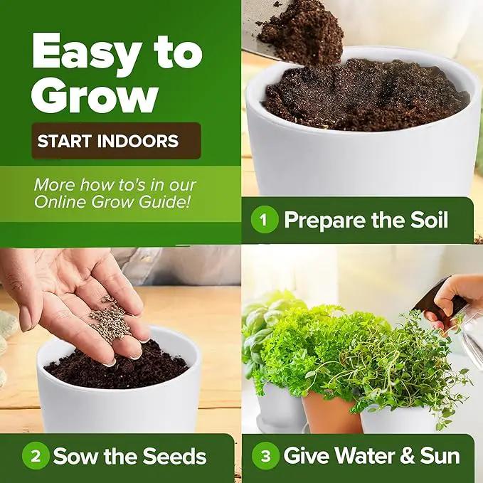 HOME GROWN 30 Herb Seeds for Planting 9,500+ Non-GMO Heirloom Seeds | Extra Large Variety Pack Herb Kit – Indoor Outdoor & Hydroponic | Culinary Seed Set | Grow Your Own Herbs | Gardening Gift by GreenHaven Gardens