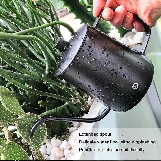 OFFIDIX Watering Can for Indoor Plants,Long Spout Metal Stainless Steel 21 oz/600 ml Watering Can with 14 oz/400ml Glass Plant Mister Spray Bottle for Plant Bonsai by GreenHaven Gardens