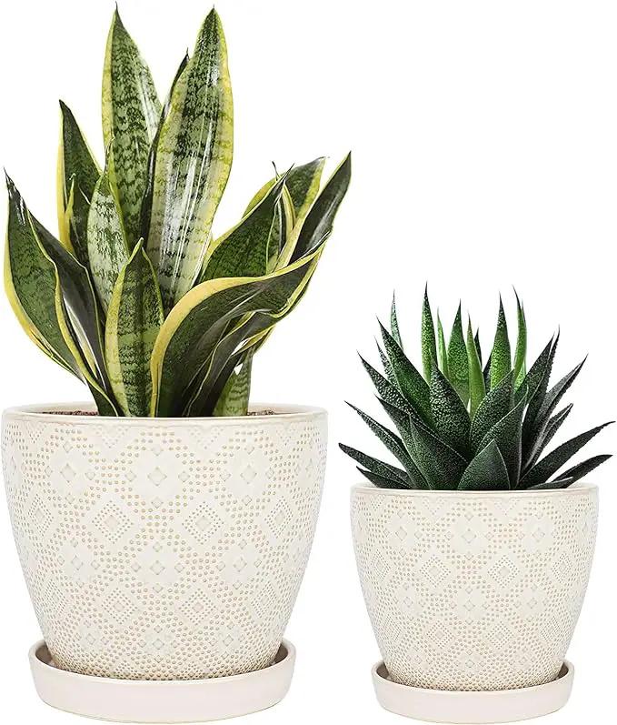Docrin Ceramic Plant Pots Indoor: 6.6 + 5.5 Inch Planters with Drainage Holes and Saucer for Home/Office - Set of 2 /White by GreenHaven Gardens