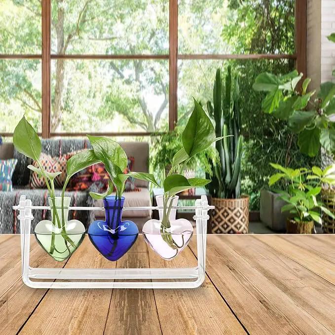 Plant Terrarium Propagation Stations with Acrylic Stand Birthday Gifts for Women Plant Stand Indoor Office Home Decor by GreenHaven Gardens