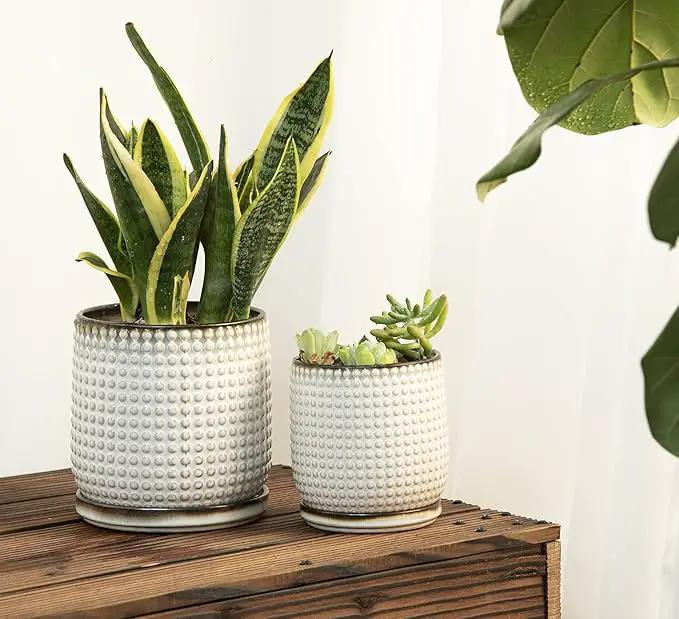 D'vine Dev 6 Inch 4 Inch Ceramic Indoor Planter Pots with Drainage Hole and Saucer, Beaded Design Flower Pots, Set of 2, Smoked White, 27-D-U-1 by GreenHaven Gardens