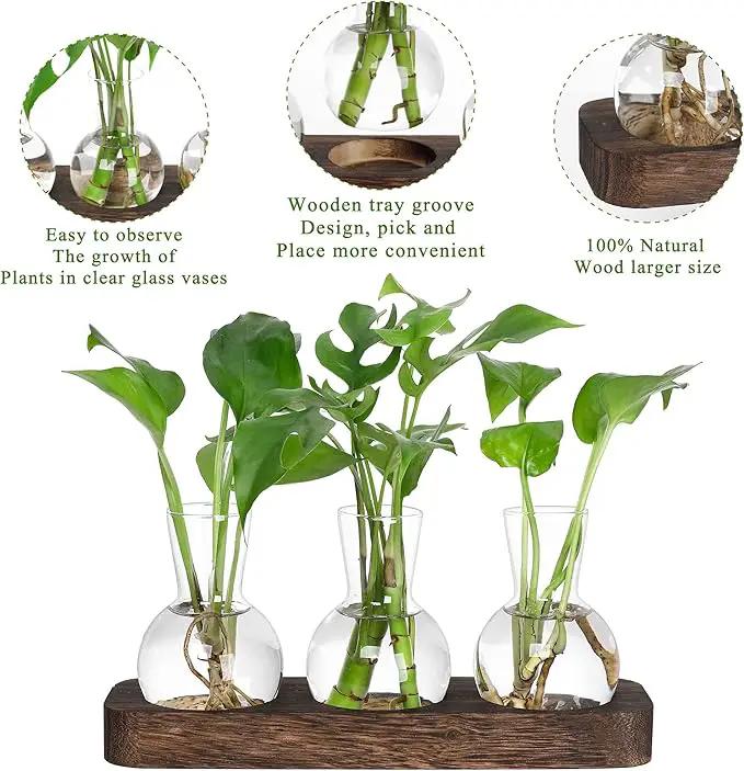 YIBOT Propagation Stations,Plant Propagation Vase,Desk Plant Terrarium with Retro Wooden Stand,Plant Lover Gifts for Women for Hydroponics Plants Home Garden Wedding Decor(3 Vase) by GreenHaven Gardens