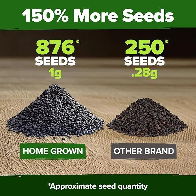HOME GROWN Thai Basil Seeds Pack - 876 High Germination 𝗡𝗢𝗡-𝗚𝗠𝗢 𝗨𝗦𝗔 Heirloom Herb Seeds for Planting,Ideal for Growing Fresh Basil Planting Indoor or Outdoor(Ocimum basilicum var.thyrsiflora) by GreenHaven Gardens