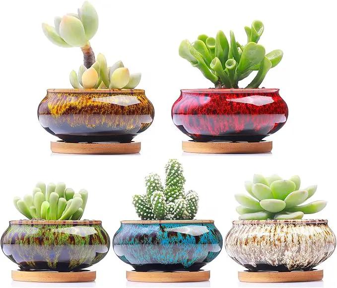 Cute Ceramic Succulent Garden Pots, Planter with Drainage and Attached Saucer, Set of 5 -Plants Not Included (Burner) by GreenHaven Gardens