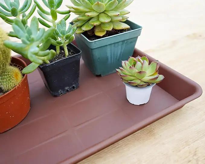 Plant Growing Trays 4 Pack, Plant Tray, 14.5"x11", Heavy Sturdy Plastic Plant Saucer Seed Trays, Seedling Starter Tray, Plant Drip Trays for Indoors, Seed Starter Growing Tray (Chocolate) by GreenHaven Gardens