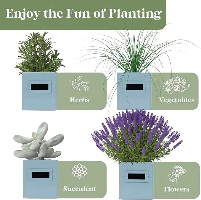 PERFNIQUE Indoor Herb Garden, Herb Garden Planter Set with Tray, Farmhouse Indoor Plant Pots, Windowsill Herb Garden with Drainage(Planter only) for Indoor/Outdoor, Window Pots(Sky Blue) by GreenHaven Gardens
