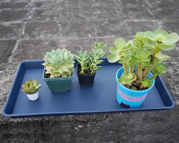 4 Pack Plant Saucer Tray Rectangular, Plant Saucers for Indoors, Heavy Sturdy Plastic Plant Drainage Trays, Plant Drip Trays for Pots, Seed Starter Growing Tray (11 x 9 inch, Blue) by GreenHaven Gardens