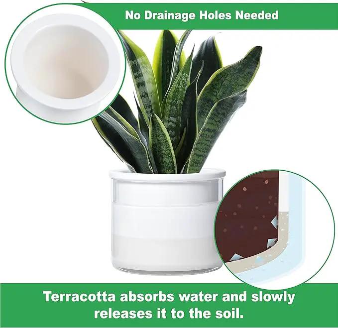 Phoenix Vine 6 Inch 4 Inch Self Watering Planter Pots, Design White Terracotta Pots for Plants, Indoor Cylinder Terra Cotta Pots with Glass Vase Set, 51-B-G-46 by GreenHaven Gardens