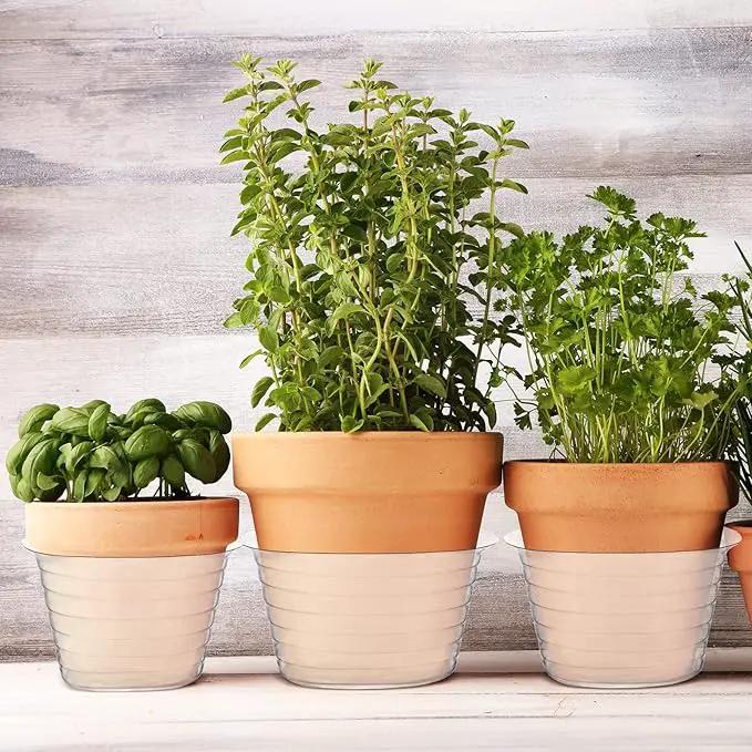 Hoolerry Plastic Plant Saucer Clear Deep Drip Tray Thickened Clear Plant Saucers Trays for Pots Deep Drip Trays for Home Garden Indoor and Outdoor Potted(15 Pcs, 6, 8, 10 Inch) by GreenHaven Gardens