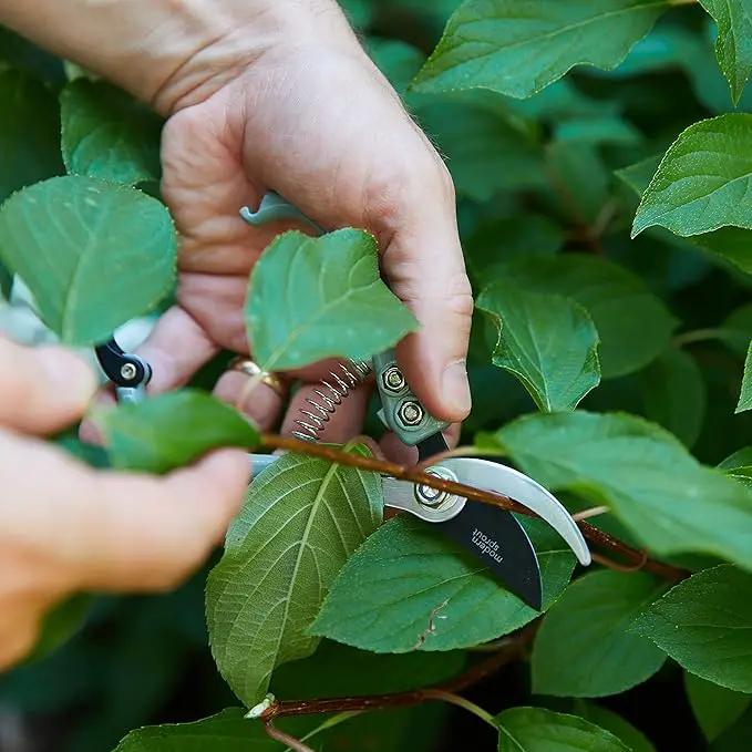 Modern Sprout Hand Pruners - Lightweight Pruning Shears W/Easy Lock- Gardening Scissors - Bypass Sharp Carbon Steel Blade - Rust Resistant - Garden Tools - Reusable Holster - Green by GreenHaven Gardens