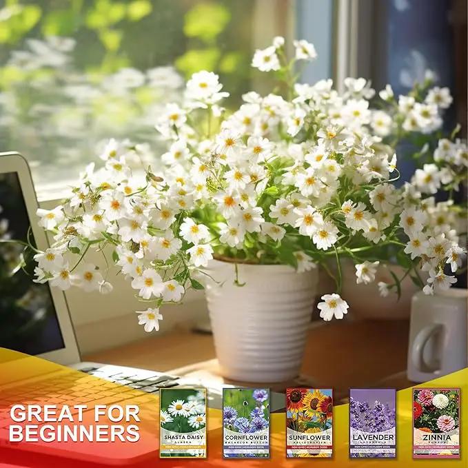 5 Kit - Growing into Shasta Daisy, Cornflower, Sunflower, Zinnia, Lavender for Indoor Outdoor Garden DIY Gifts by GreenHaven Gardens