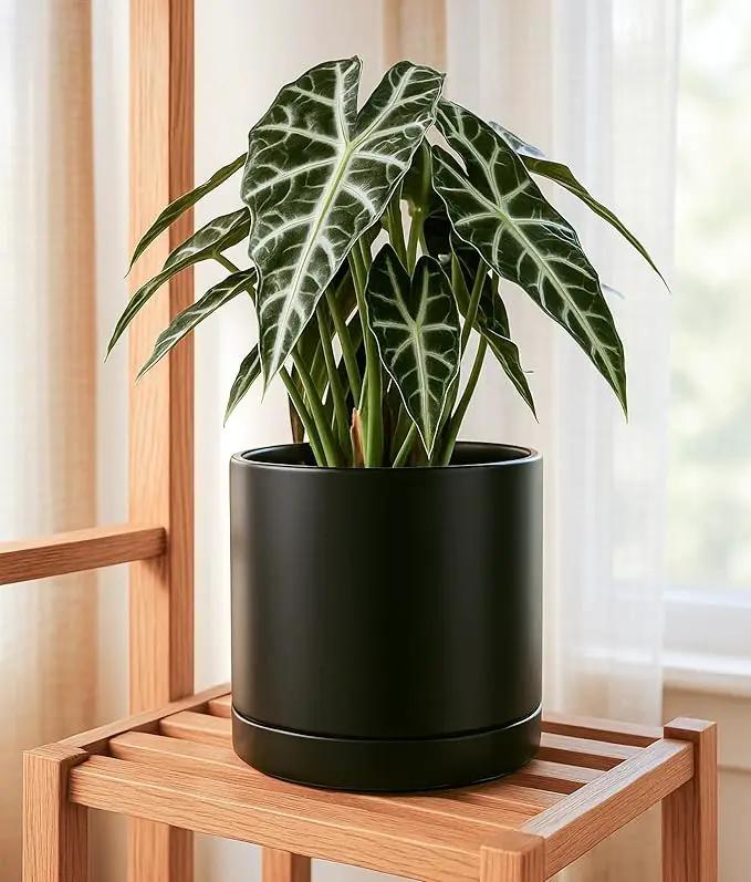 D'vine Dev 10 Inch Ceramic Planter Pot with Drainage Hole and Saucer, Indoor Cylinder Round Planter Pot, Black, 94-O-E-2 by GreenHaven Gardens