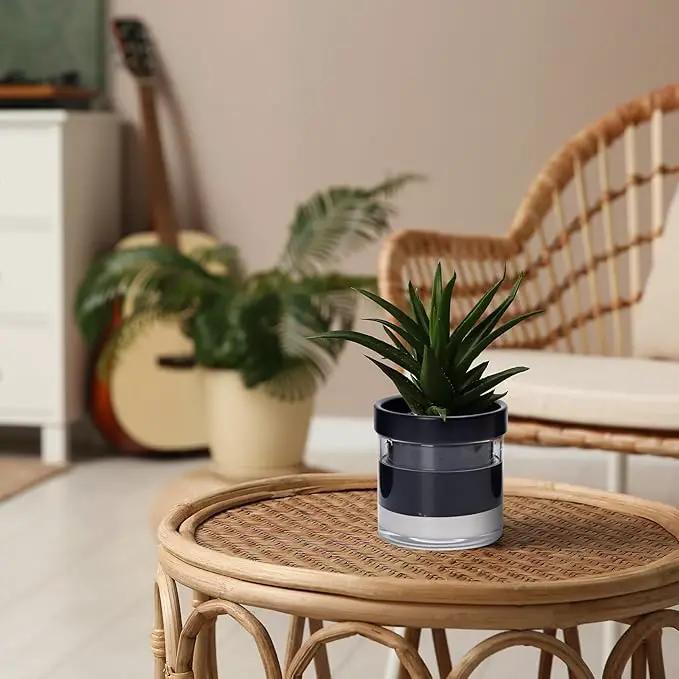 Phoenix Vine 4 Inch Self Watering Planter Pot, Black Terracotta Clay Pot with Glass Reservoir for Indoor Plants, Herbs, Flowers, Set of 4, 52-C-E-4 by GreenHaven Gardens