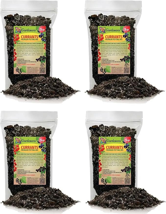 Premium Currant Plant Potting Soil Mix - Optimal Nutrient-Rich Blend for Thriving and Juicy Currants - 20 Quart by GreenHaven Gardens