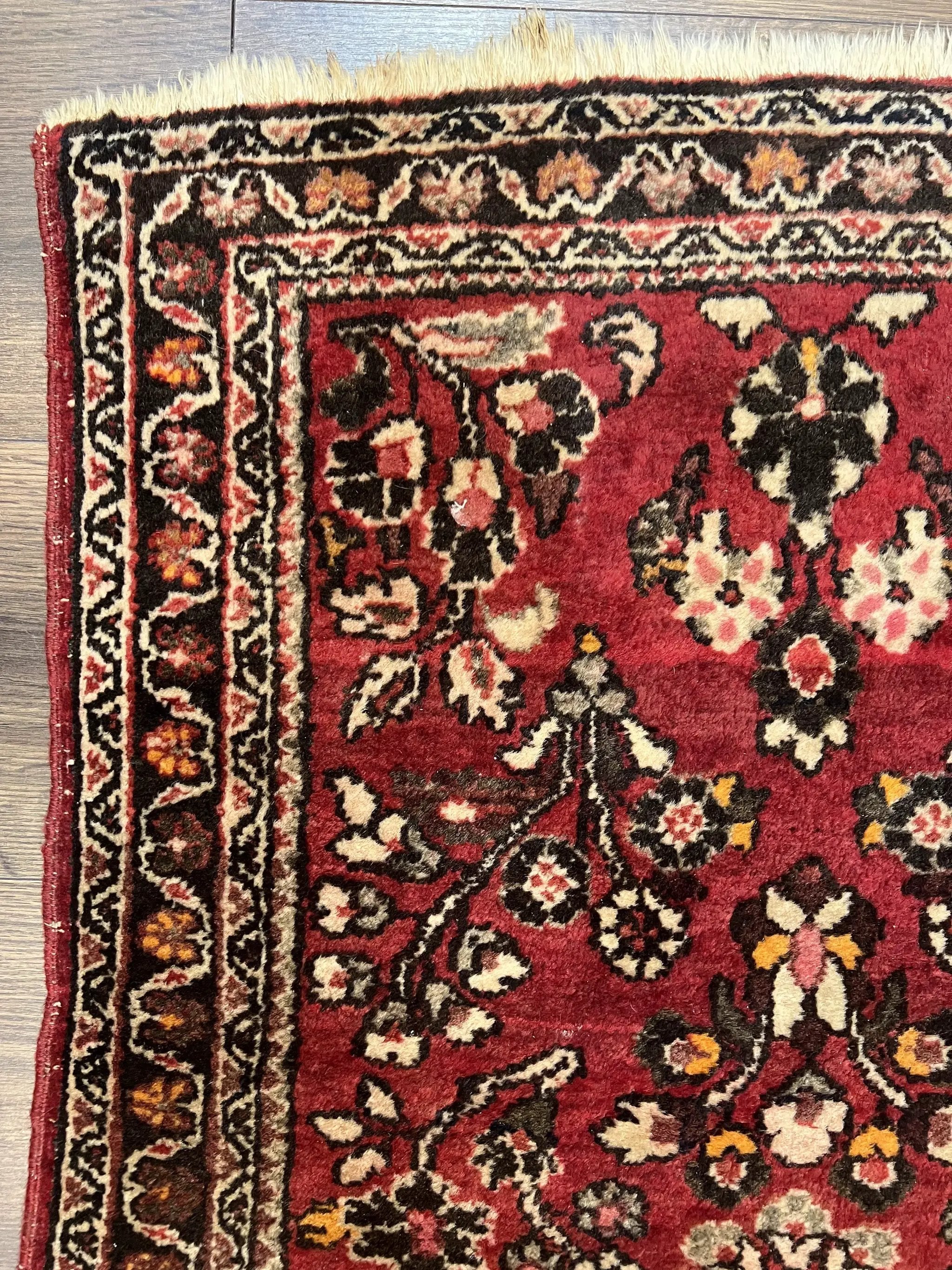 Small Persian Sarouk Rug 2x4 ft, Allover Floral Pattern, Red Black Cream, Hand Knotted Wool Traditional Oriental Carpet, Antique Persian Rug 2 x 4 by Jewel Rugs
