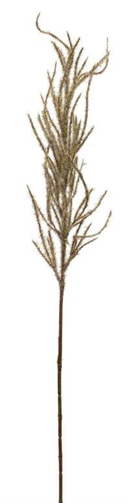 Flocked Beige Pampas Grass Spray (Set of 4), photo 2 of 2