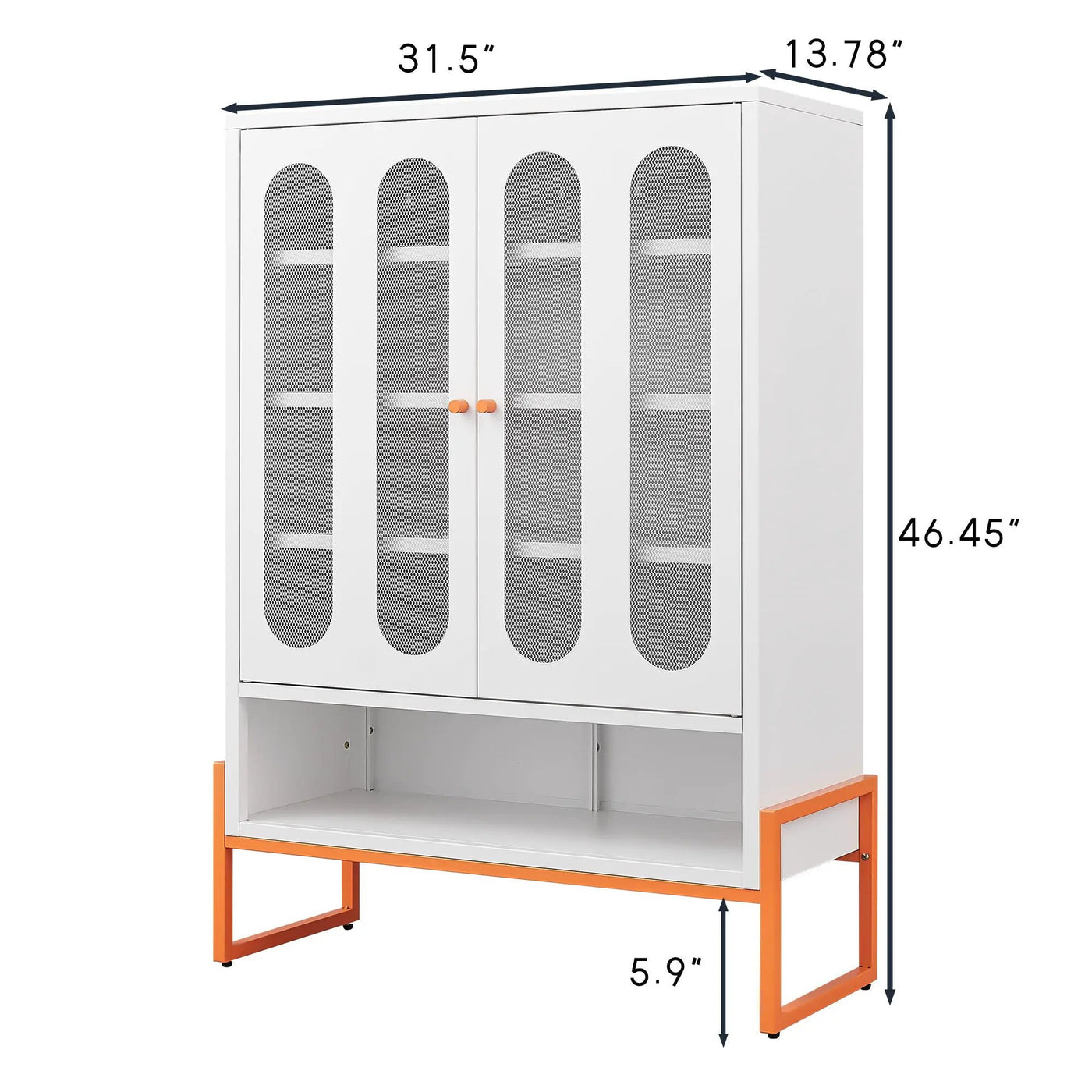 Modern Metal Shoe Cabinet With DoublebSided Doors And Adjustable Partitions by HouseOfZazla