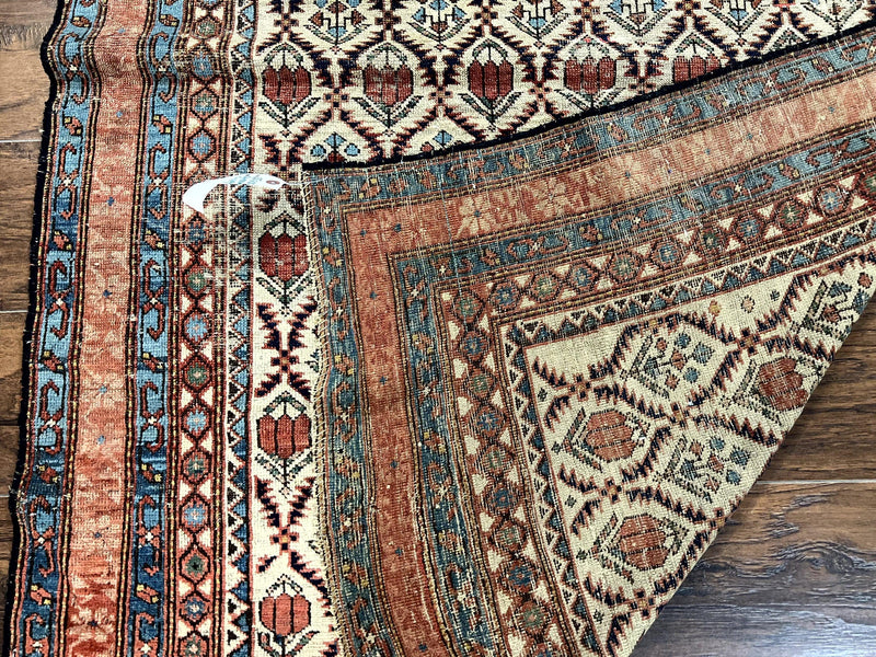 Antique Caucasian Rug 4x6, Hand Knotted Wool Carpet, Shirvan Rug by Jewel Rugs