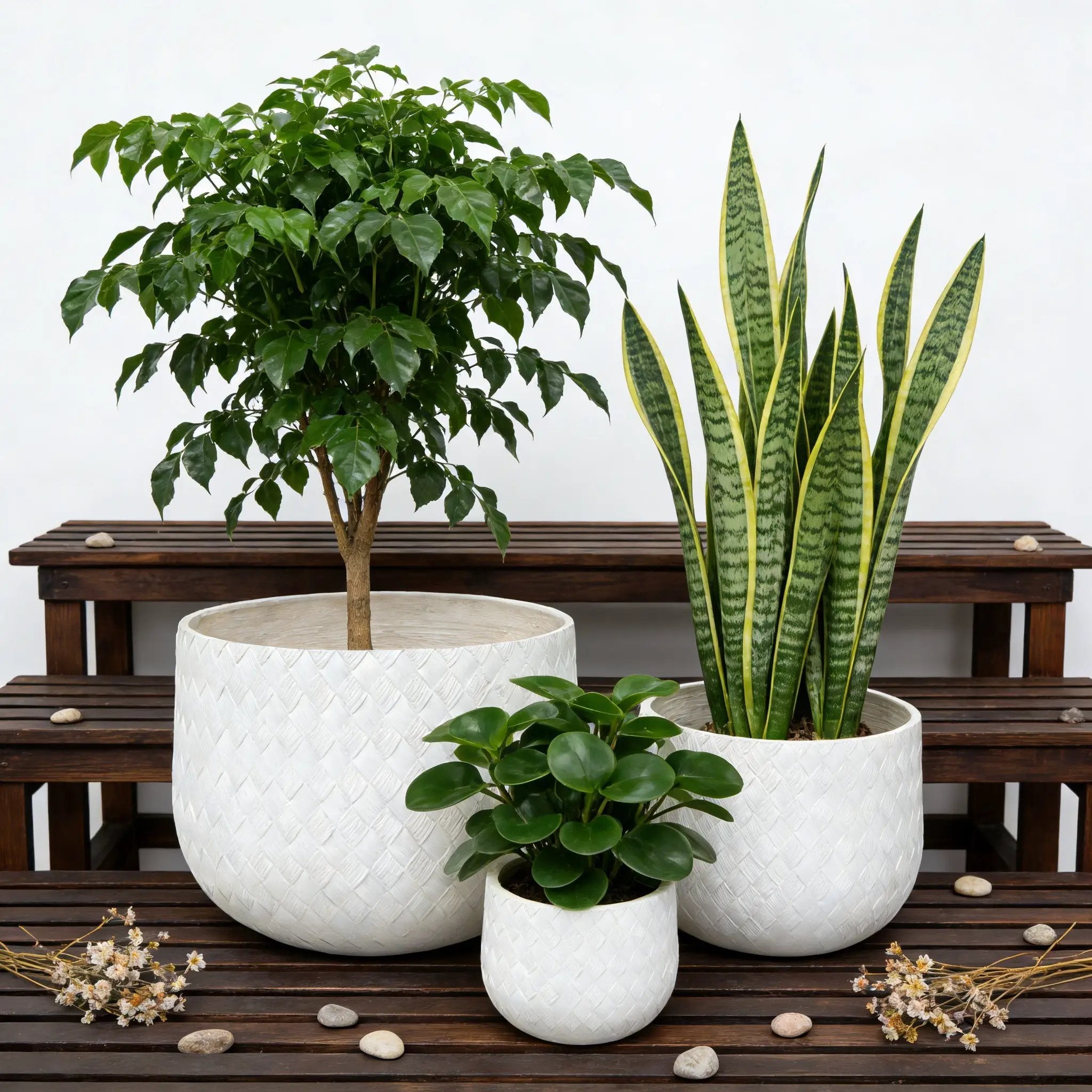 Assorted Sizes Magnesium Oxide Round Planter Set of 3 by HouseOfZazla