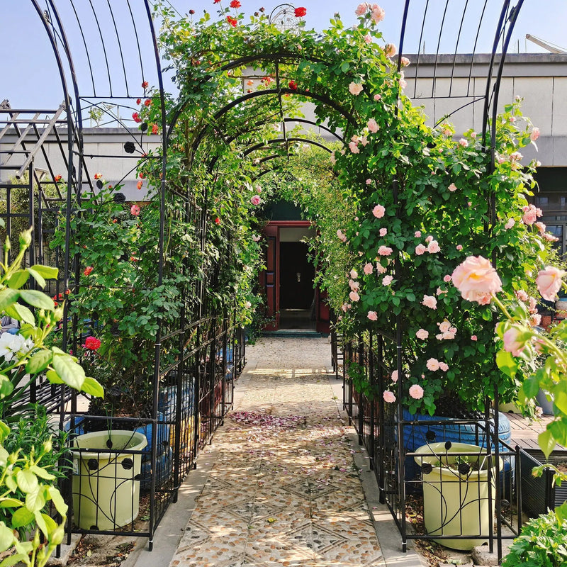 Metal Garden Arch With Two Plant Stands Wide High Climbing Plants Support Rose Arch Outdoor - Black by HouseOfZazla