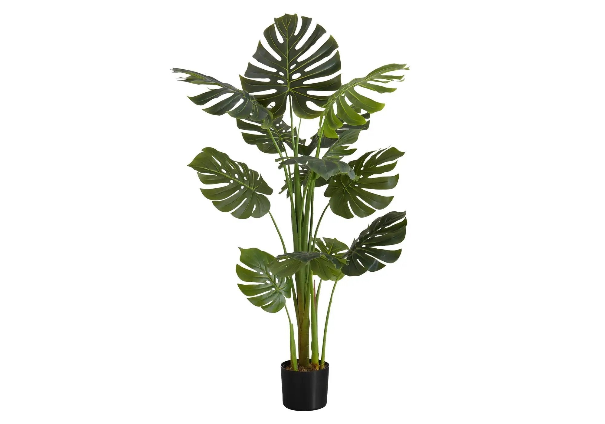 55" Tall Artificial Monstera Tree by HouseOfZazla