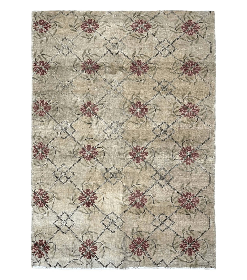 Turkish Rug 5x6, Oushak Carpet, Beige by Jewel Rugs