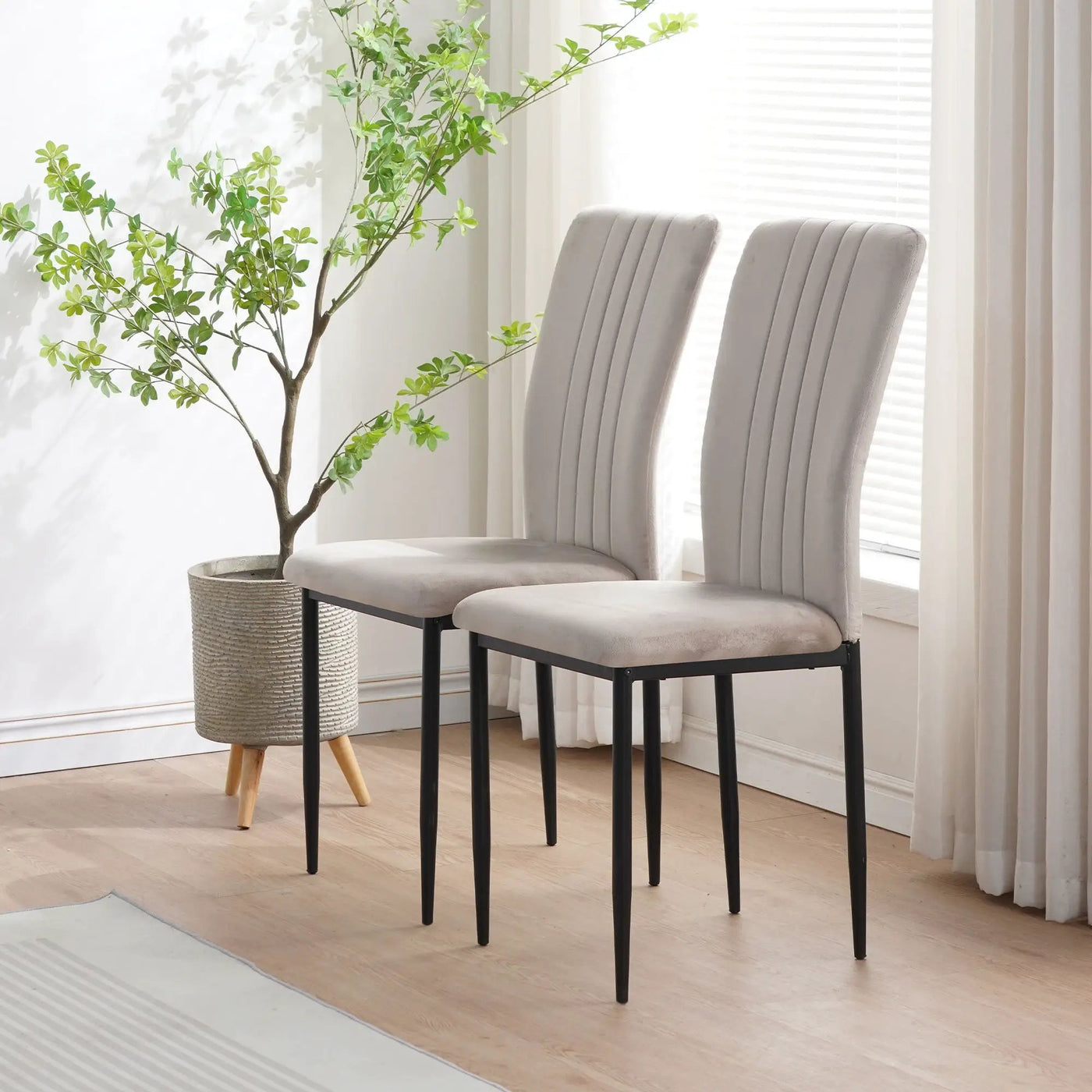 Velvet Dining Chairs For Dining Room (Set of 4) by HouseOfZazla