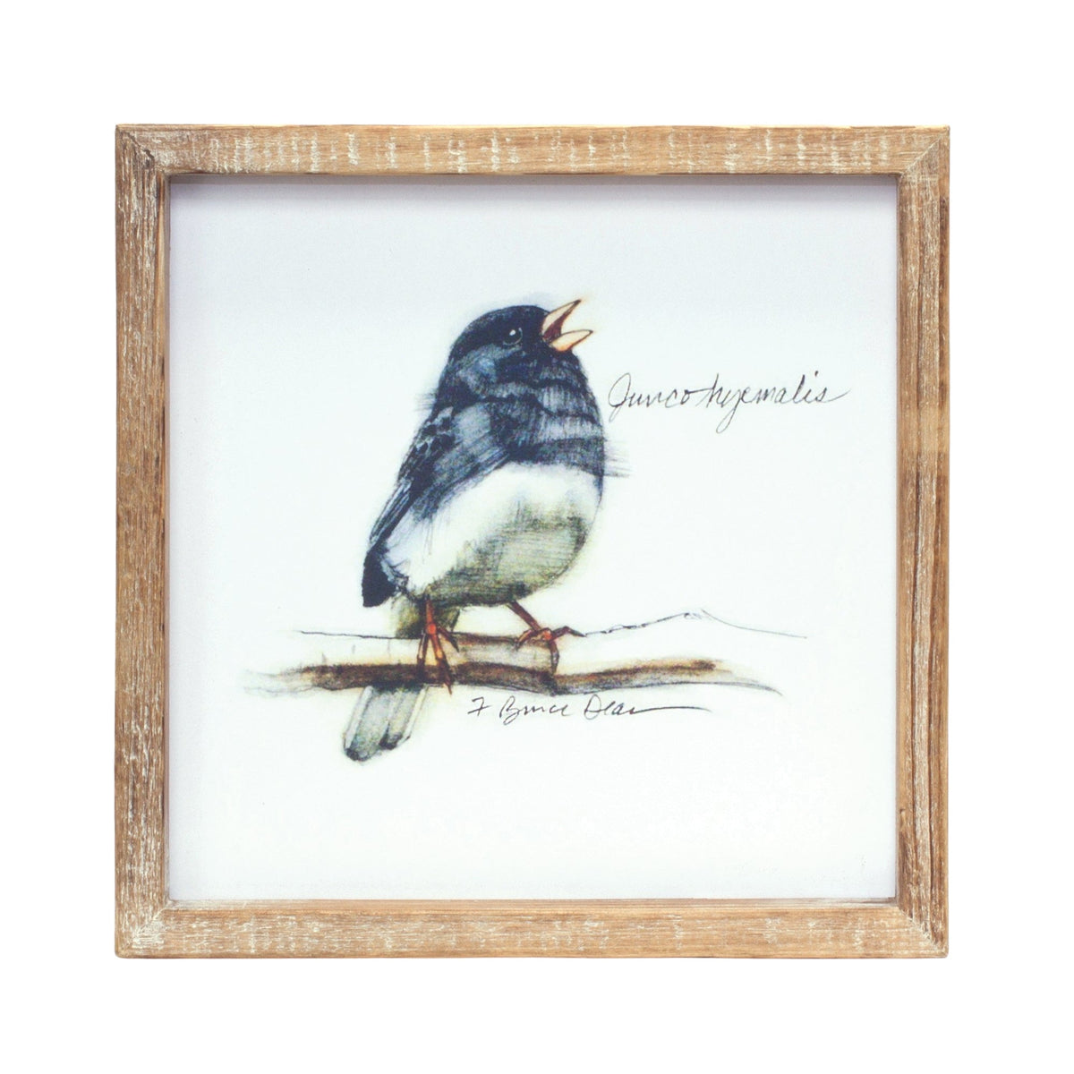 Wood Framed Bird Art Print (Set of 4), photo 2 of 5