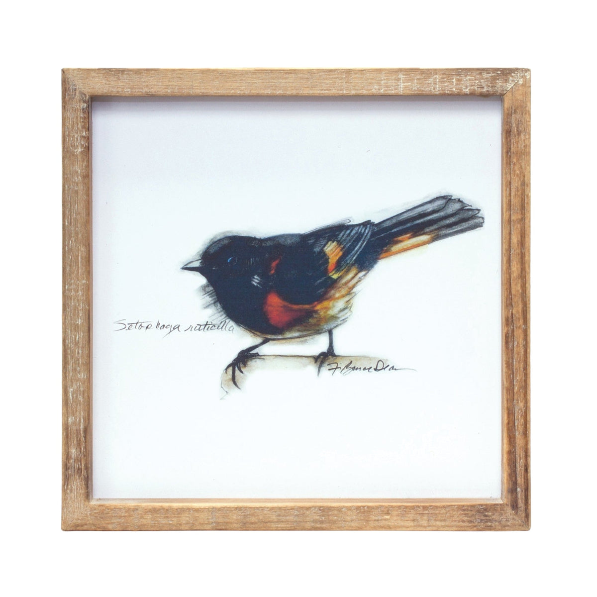 Wood Framed Bird Art Print (Set of 4), photo 3 of 5