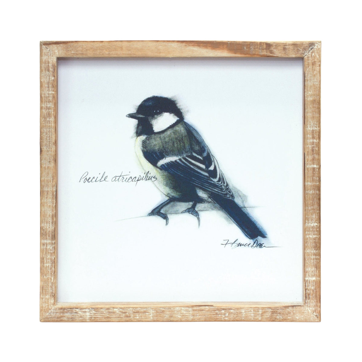 Wood Framed Bird Art Print (Set of 4), photo 5 of 5