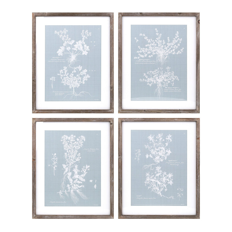 Wood framed encyclopedia floral outline under glass (set of 4)