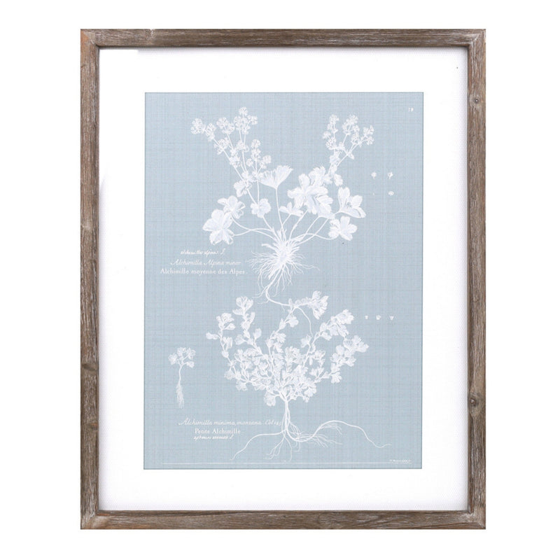 Wood framed encyclopedia floral outline under glass (set of 4), photo 2 of 5