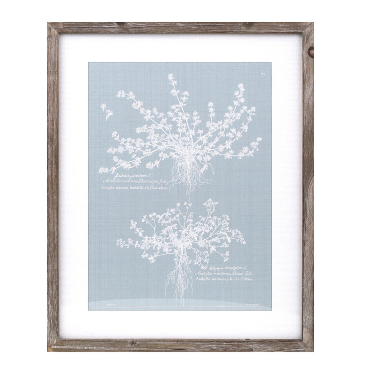 Wood framed encyclopedia floral outline under glass (set of 4), photo 3 of 5